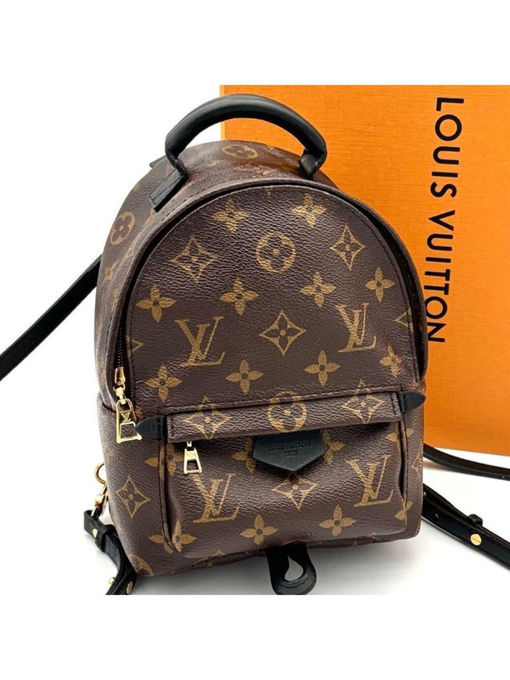 Louis Vuitton Monogram Palm Springs Backpack Mini